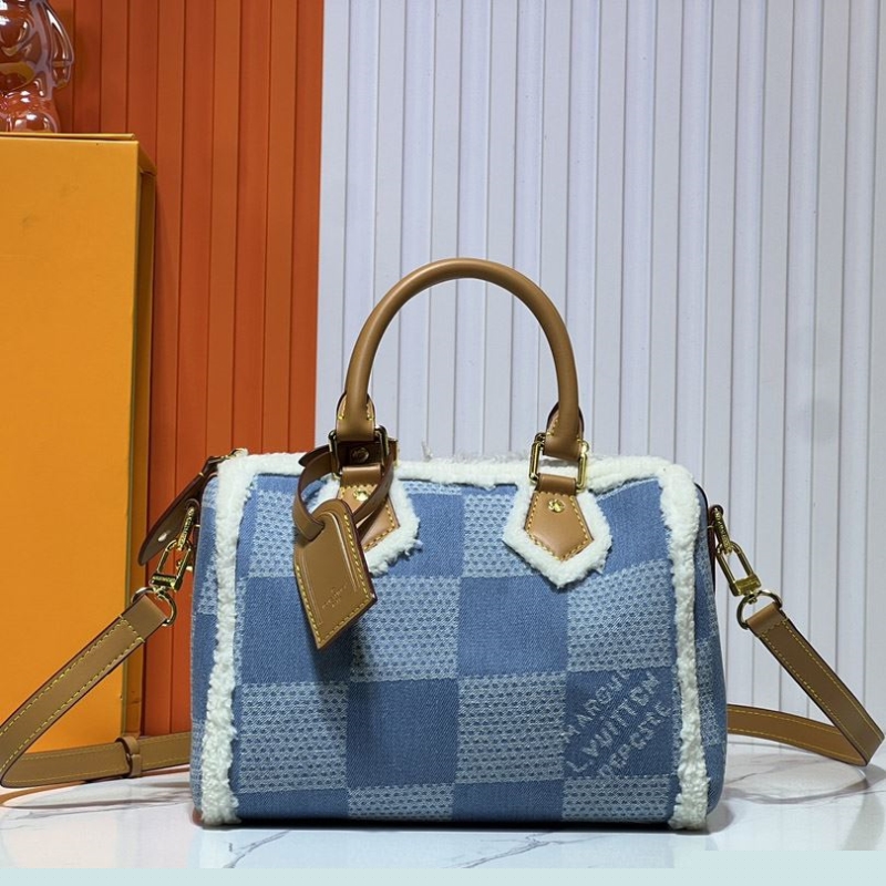 LV Travel Bags